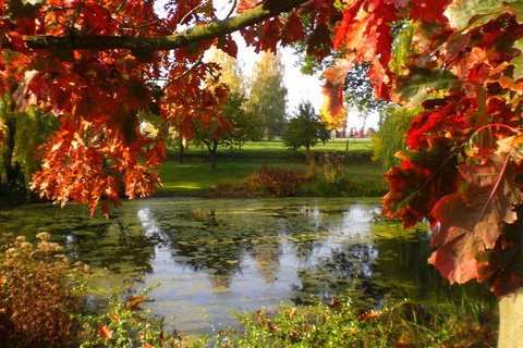 h.manzke Rade, Dorfteich im Herbst